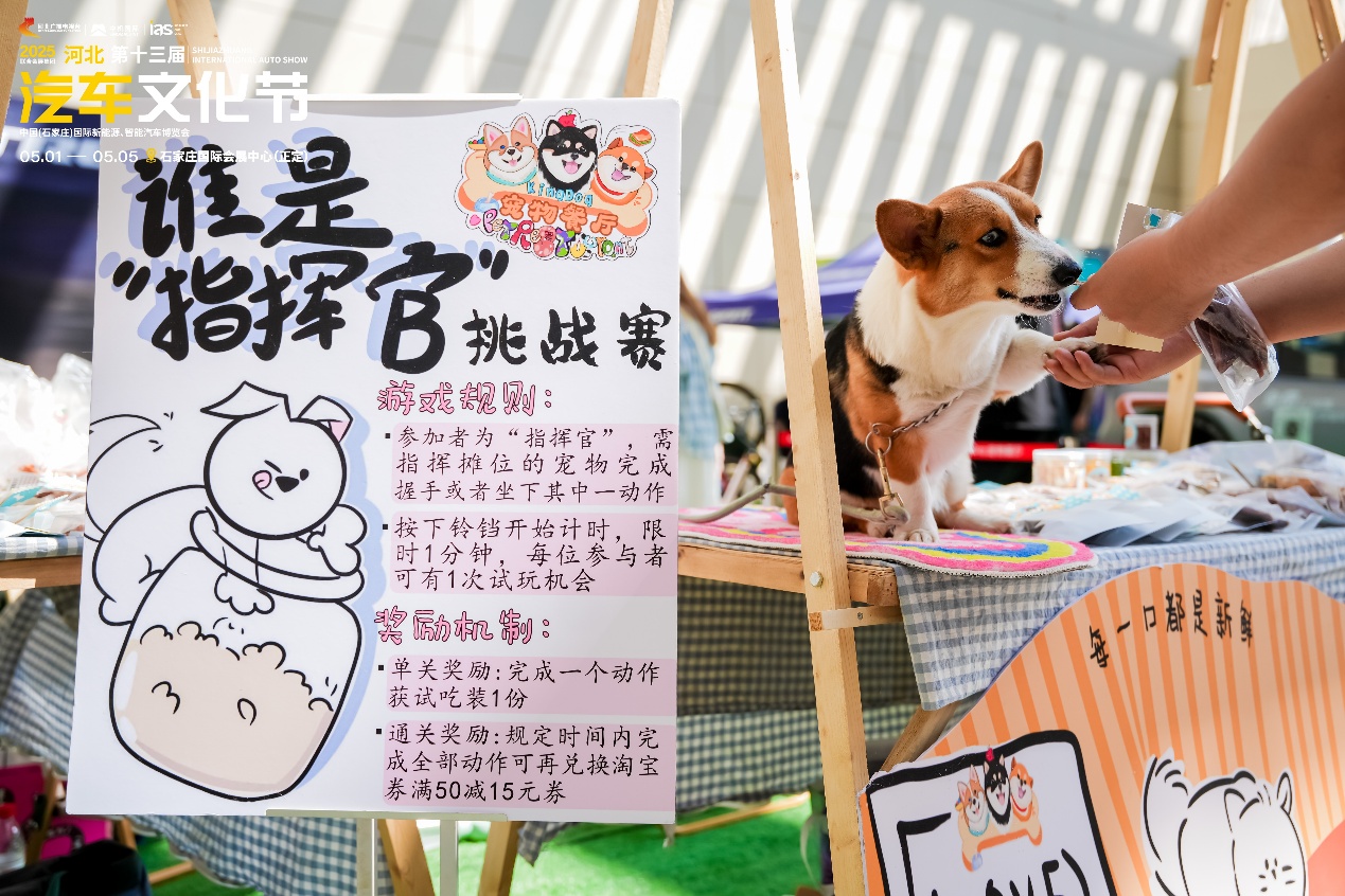驱动创新 智境未来——2025河北汽车文化节盛大启幕！